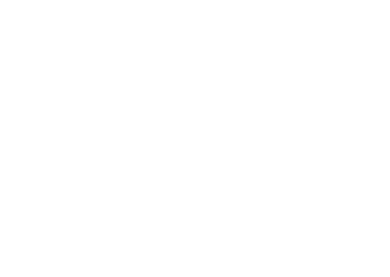 NZ Whale and Dolphin Trust